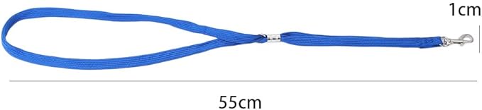 Dog Leash Nylon Pet Noose Loop Lock Clip Rope, Pet Dog Grooming Rope Adjustable Fixed Dog Cat Safety Rope for Pet Grooming Table Bathtub (Blue)