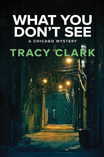 What You Don't See (A Chicago Mystery)