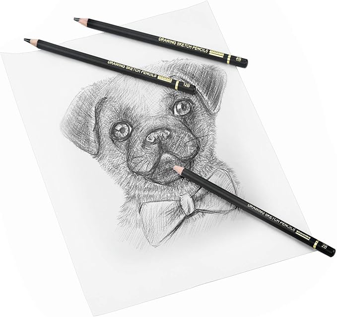 RVOGJP TAMATA Professional Drawing Sketching Pencil Set - 12 Pieces Art Graphite Pencils(12B - 4H), Ideal for Drawing Art, Sketching, Shading, for Beginners & Pro Artists