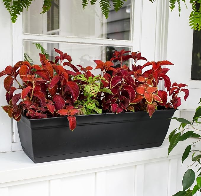 The HC Companies 24 Inch Eclipse Window Planter - Indoor Outdoor Rectangular Plant Pot with Removable Saucer for Flowers, Herbs, Black